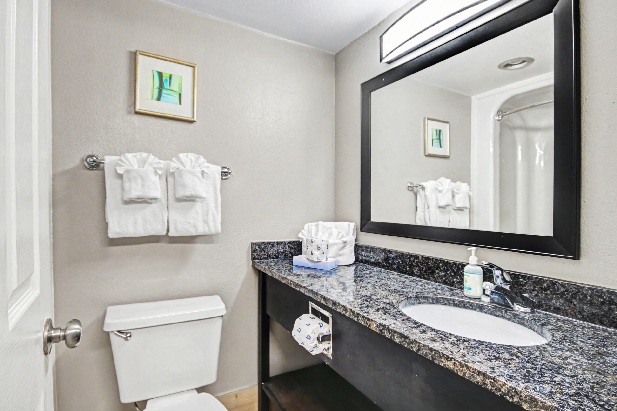 Ocean View King Hotel-Style Room